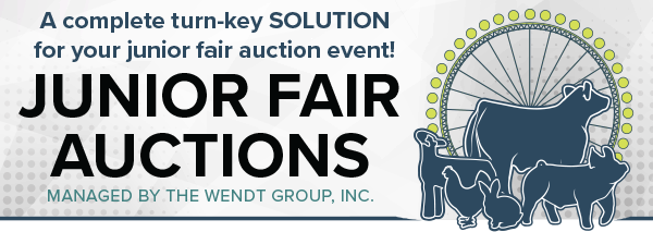 Junior Fair Auction